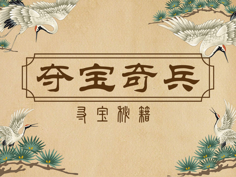 夺宝奇兵